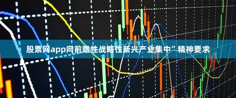 股票网app向前瞻性战略性新兴产业集中”精神要求