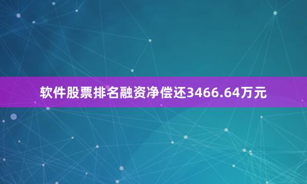 软件股票排名融资净偿还3466.64万元