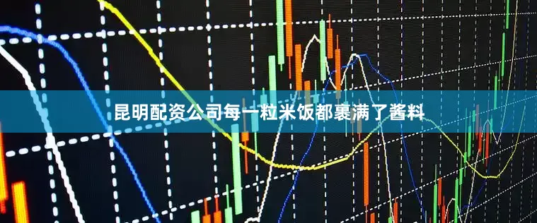 昆明配资公司每一粒米饭都裹满了酱料