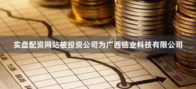 实盘配资网站被投资公司为广西锆业科技有限公司